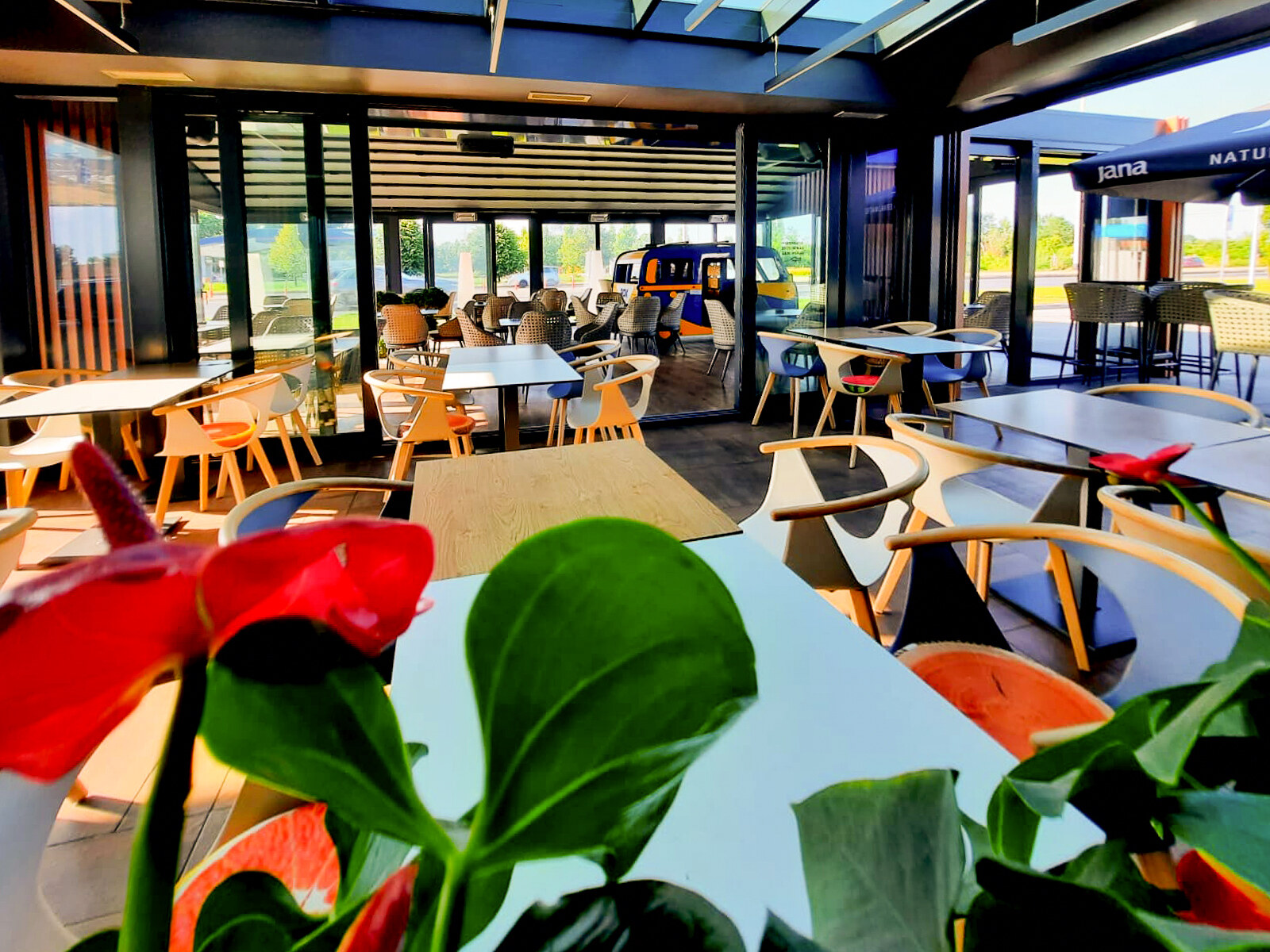 Interijer restorana s drvenim stolicama, biljkama i prirodnim osvjetljenjem