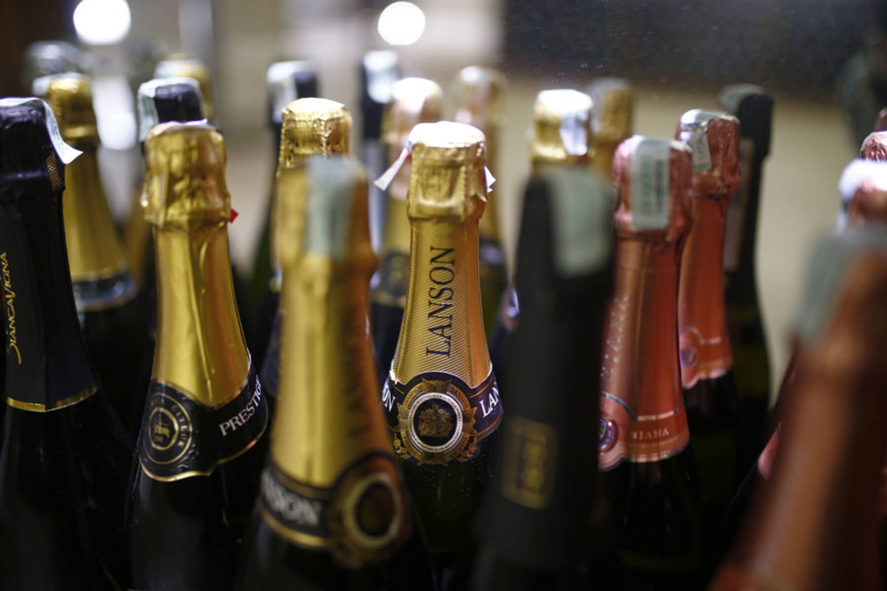 Razni brendovi šampanjca uključujući Lanson i Piper-Heidsieck u frižideru